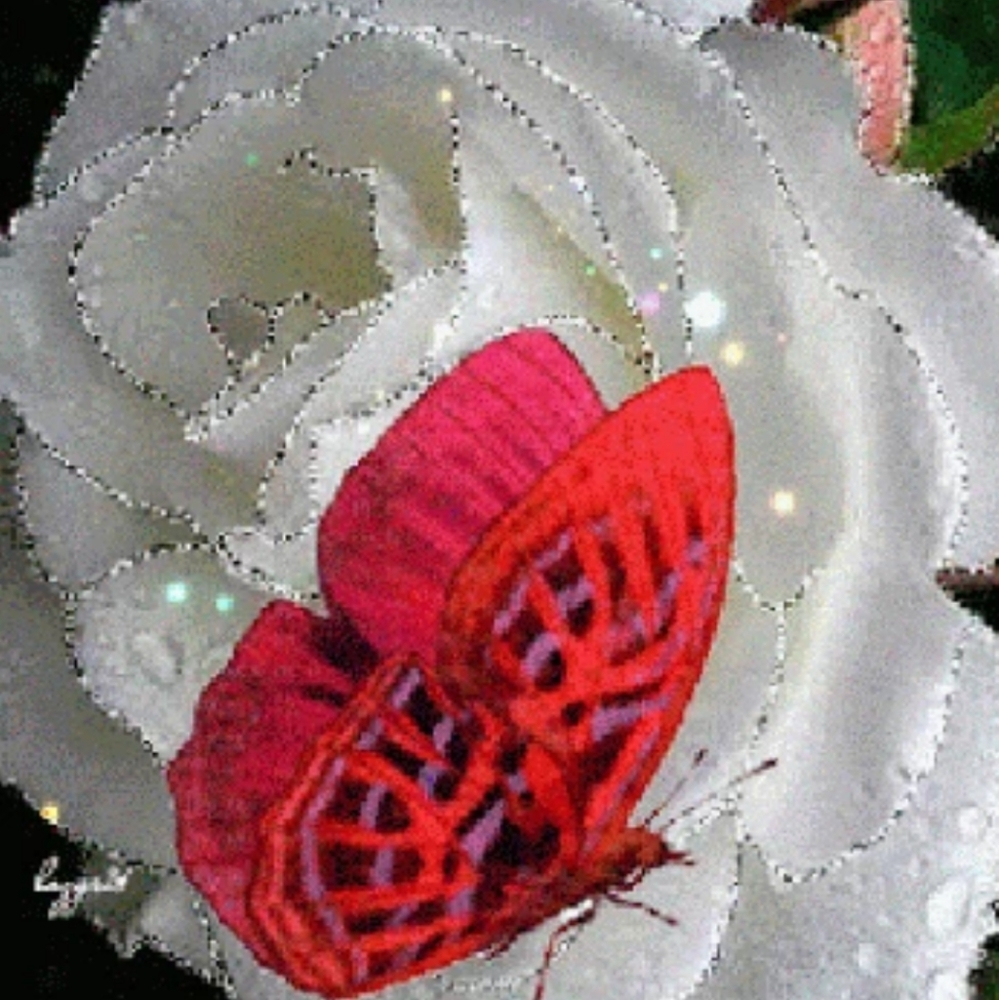 Meet your Posher, Lisa